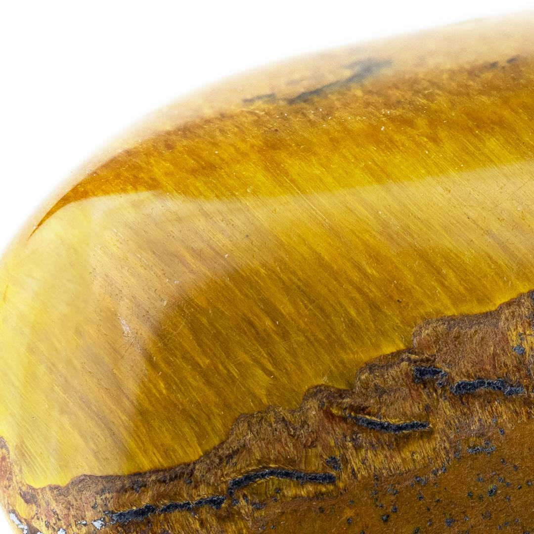 Cat's Eye