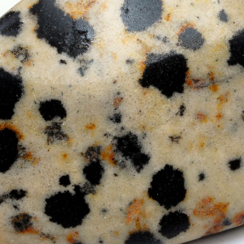 Dalmatian Jasper