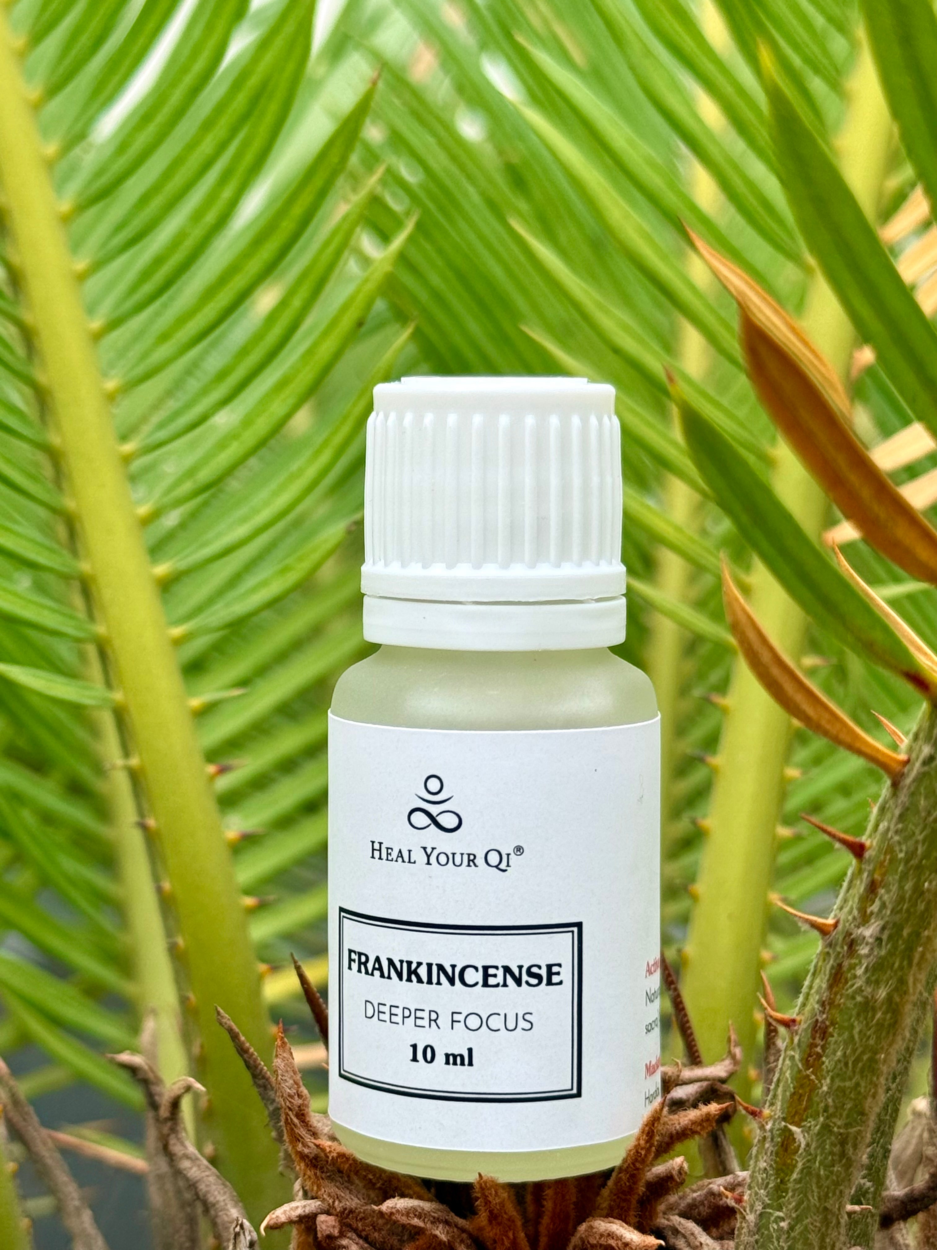 Frankincense Essential Oil (10 ml)